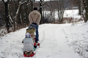 Naperville Sledding